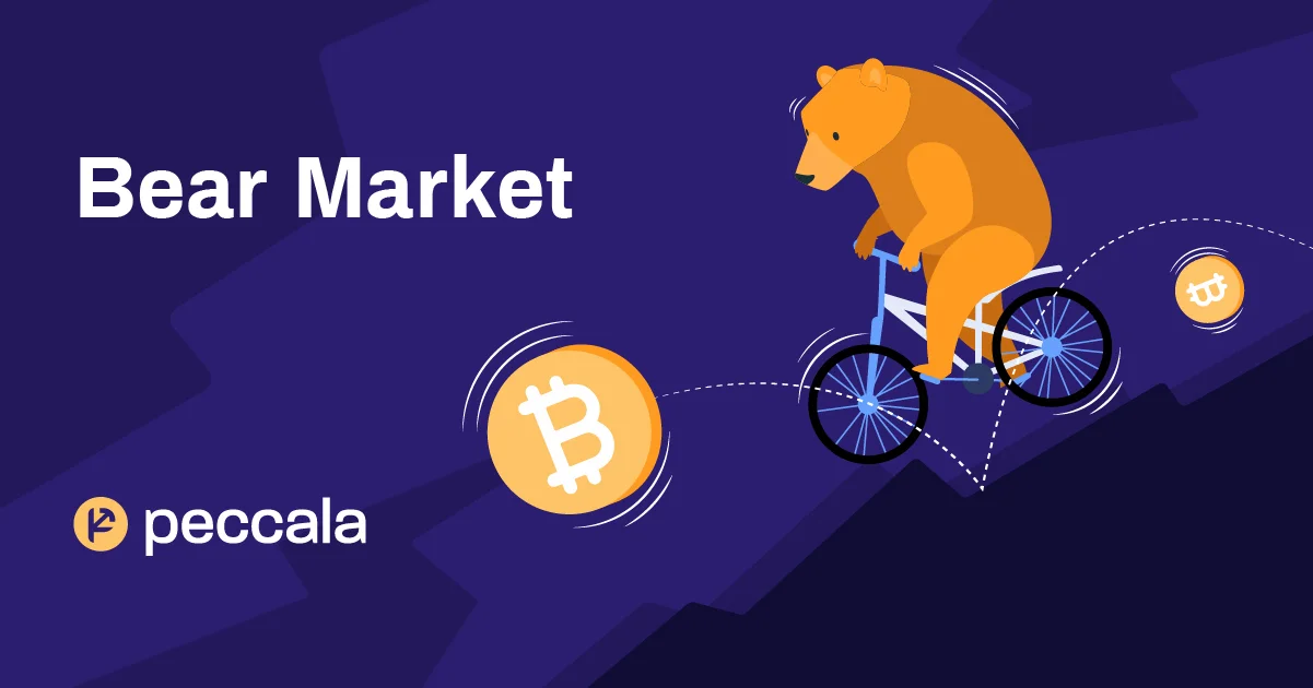 What is a Bear Market and how to invest in it